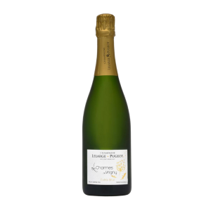 Champagne 1er Cru Extra Brut Charmes de Vrigny Lelarge Pugeot