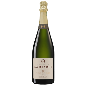 Champagne Brut Terre D'Etoiles  - Lamiable