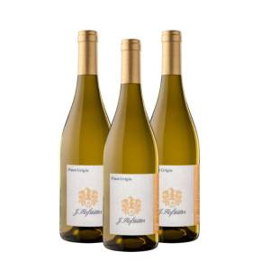 Alto Adige Pinot Grigio IGT 2022 Hofstätter box da 3