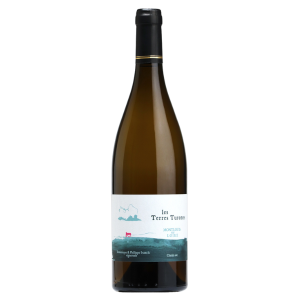 "Les Terres Turones" 2023 "Montluis Chenin" Blanc - Domaine de la Croix Melier