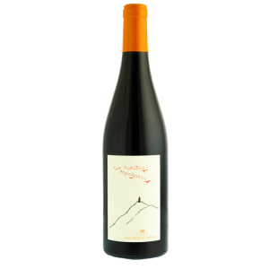 Vdf Raisins Migrateurs BIO 2020 - Domaine de Belliviére