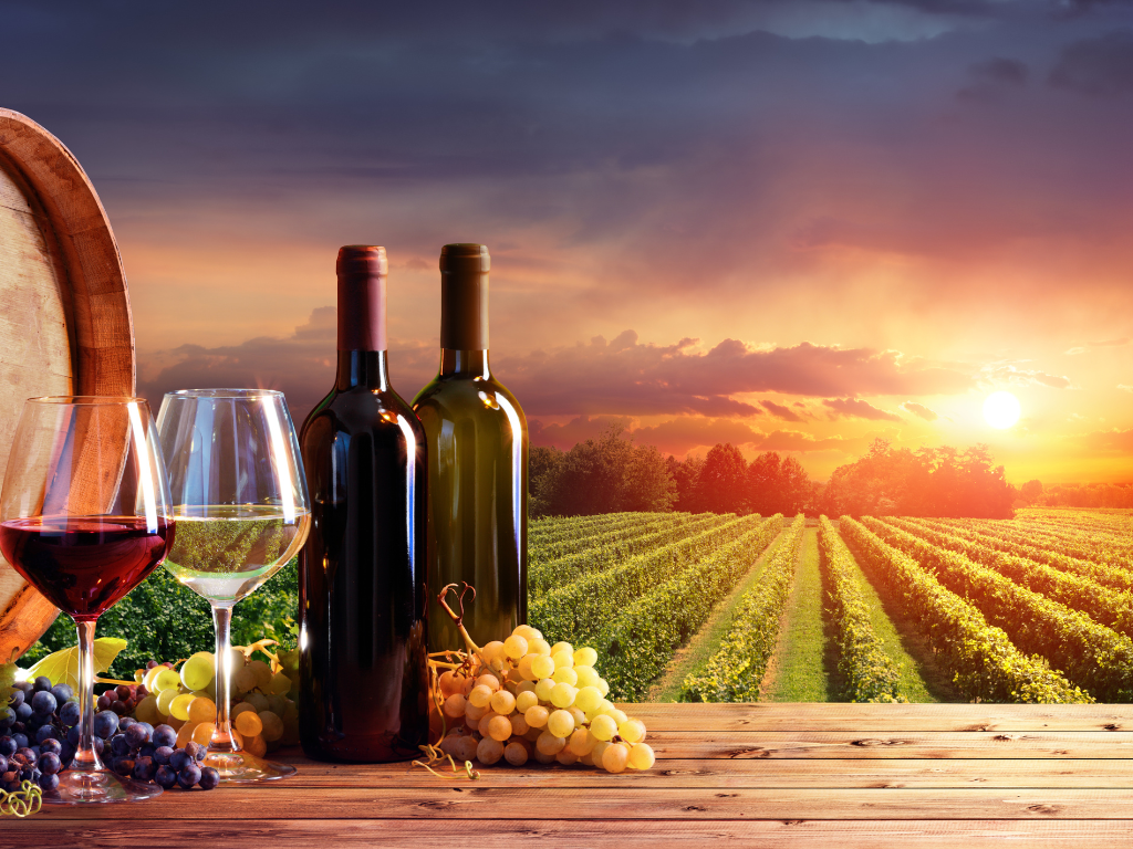 Il Ruolo del Terroir nella Produzione del Vino