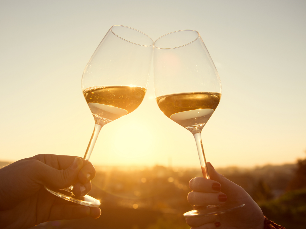 Il vino nella cultura pop curiosità tra cinema, musica e letteratura