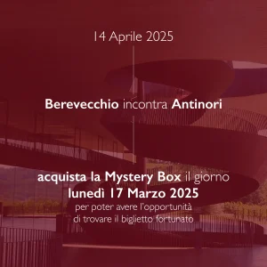 Evento Mystery Box "Antinori Edition"