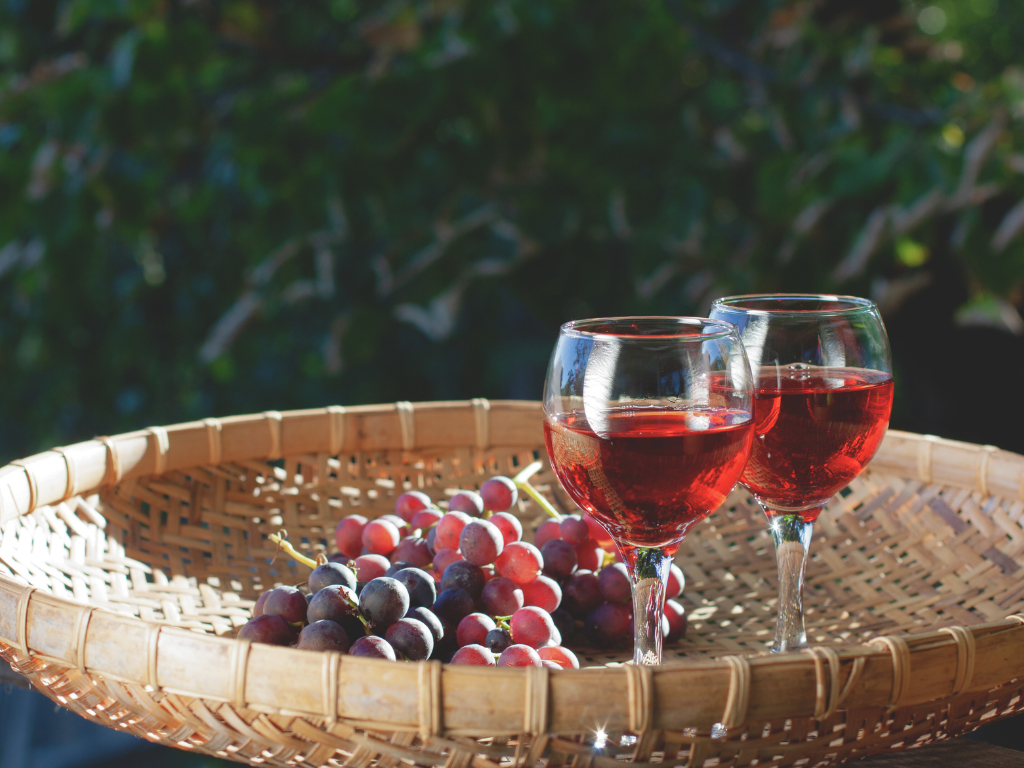 Piccoli produttori, grandi vini eccellenze nascoste italiane da scoprire