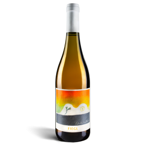 Ribolla Gialla Oslavia "Orange" 2022 - Fiegl