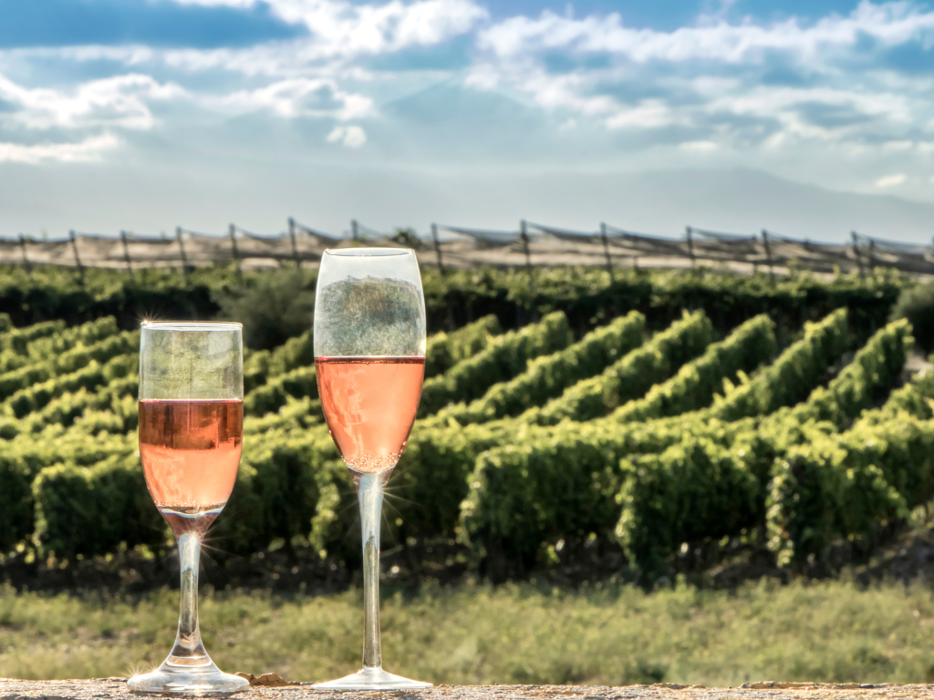 Rosé de Saignée vs Rosé d’Assemblage differenze nei rosati di Champagne
