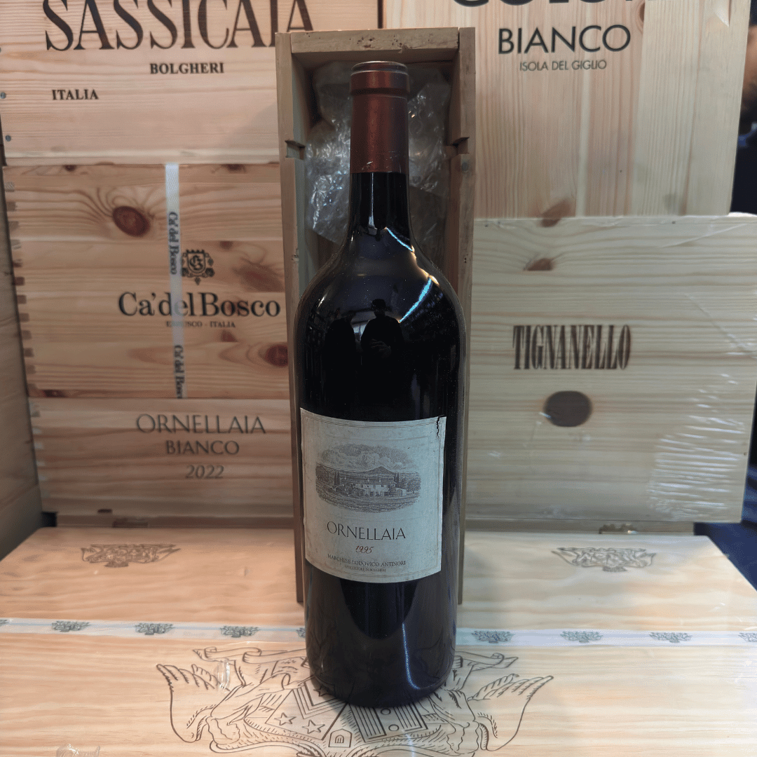 Bolgheri Superiore Ornellaia 1995 Magnum con Box Ornellaia
