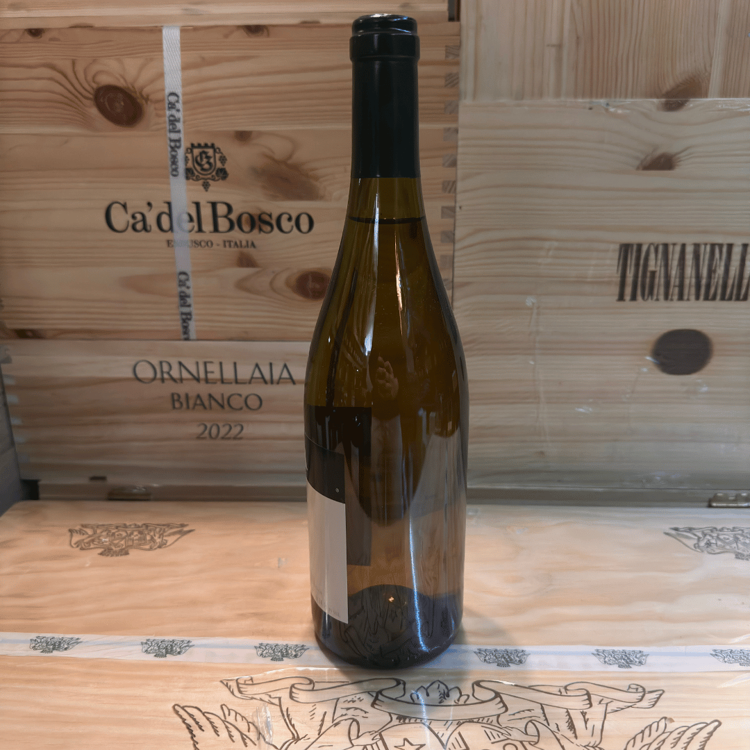 Gaja & Rey 2005 - immagine 4