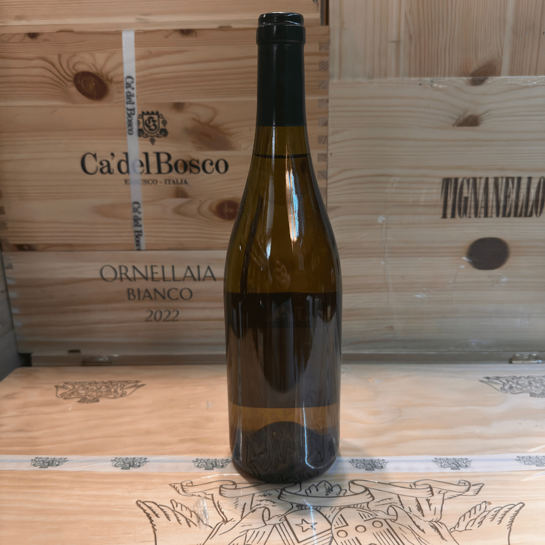 Gaja & Rey 2005 - immagine 3