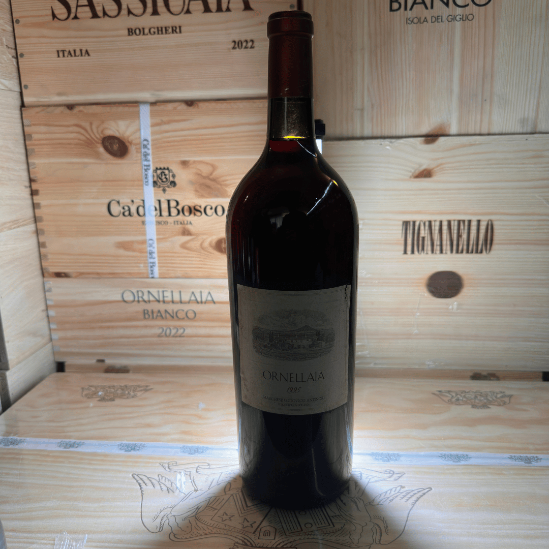 Bolgheri Superiore Ornellaia 1995 Magnum con Box Ornellaia - immagine 4